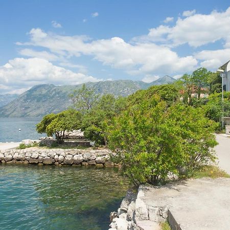 Villa Iva Kotor Kültér fotó